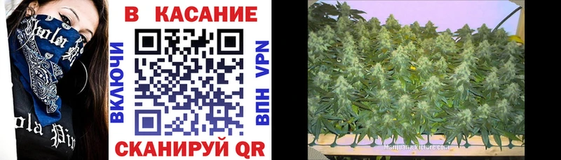 Виды наркотиков купить Цоци-Юрт МАРИХУАНА АМФ Меф мяу мяу COCAIN