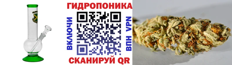 Каннабис план Цоци-Юрт